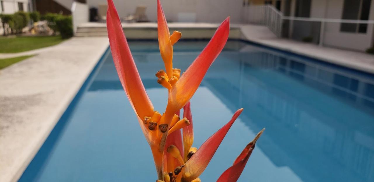ג'יוטפאק Aohom Santuario Hotel & Spa מראה חיצוני תמונה